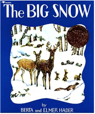 Screen Shot 2020-11-29 at 5.24.00 PM