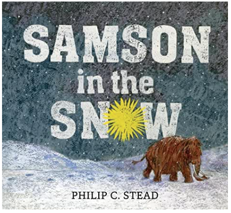 Screen Shot 2020-01-23 at 7.26.01 PM