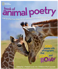 Screen Shot 2020-04-26 at 1.39.53 PM