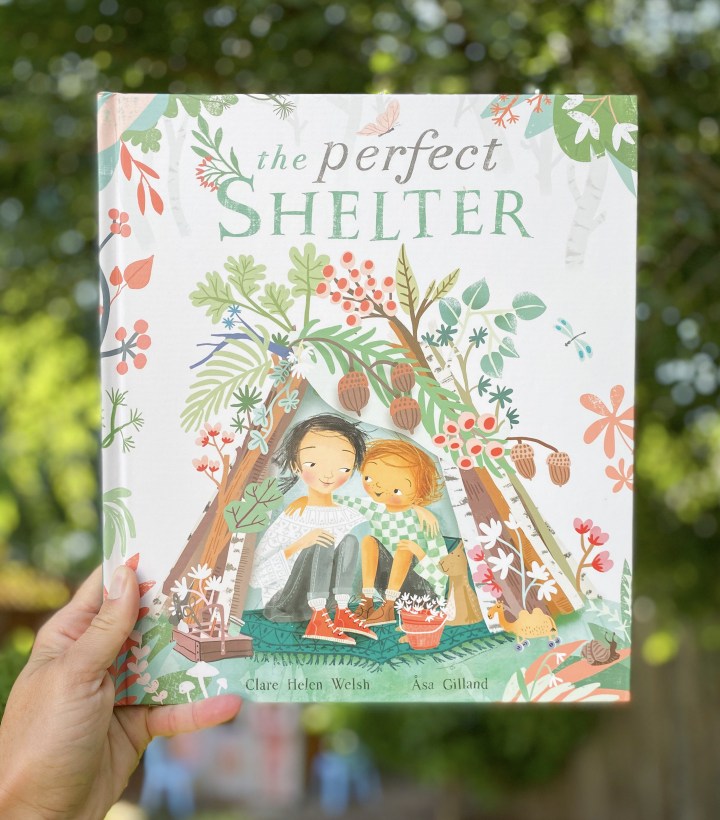 The Perfect Shelter by Clare Helen&nbsp;Welsh