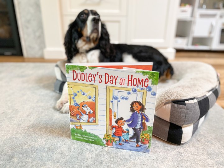 Dudley’s Day at Home by Karen Kaufman&nbsp;Orloff