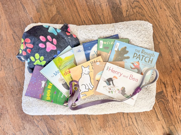 Picture Books for When a Pet&nbsp;Dies